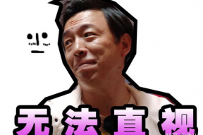 极限挑战表情包,趣味横生的搞笑瞬间