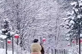 最早网红什么雪