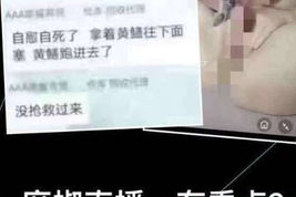 黄鳝女主播的视频资源