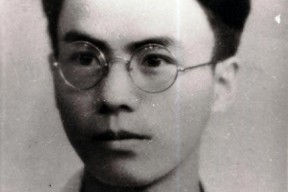 圣野资料