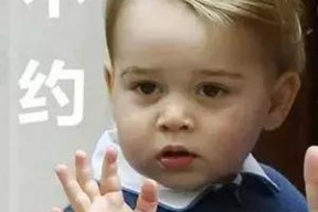 乔治王子表情包英语,George the Prince: A Royal Face for the Digital Age