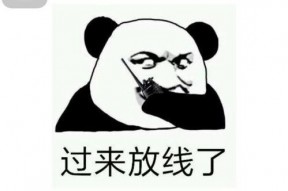 干吗了图片,探寻“干吗了”图片背后的故事