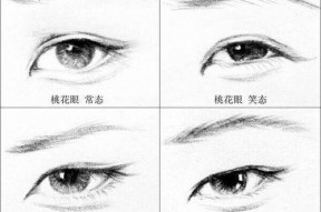 哪个明星是丹凤眼,探寻独特魅力之源