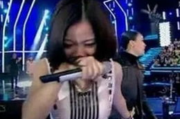 娱乐圈有什么职业,揭秘明星背后的神秘世界